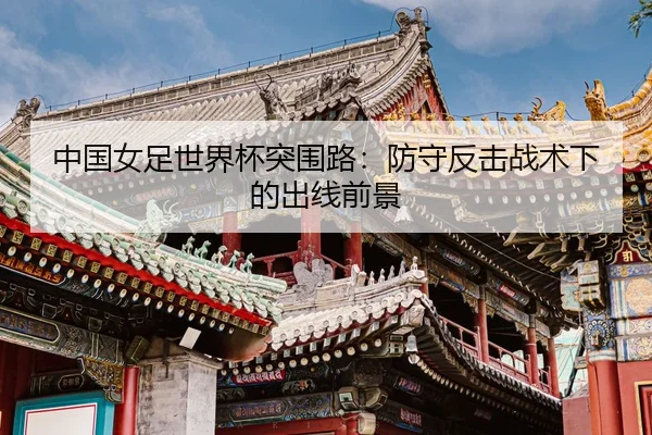 zhong-guo-nv-zu-shi-jie-bei-tu-wei-lu-fang-shou-fan-ji-zhan-shu-xia-de-chu-xian-qian-jing-2-528.jpg
