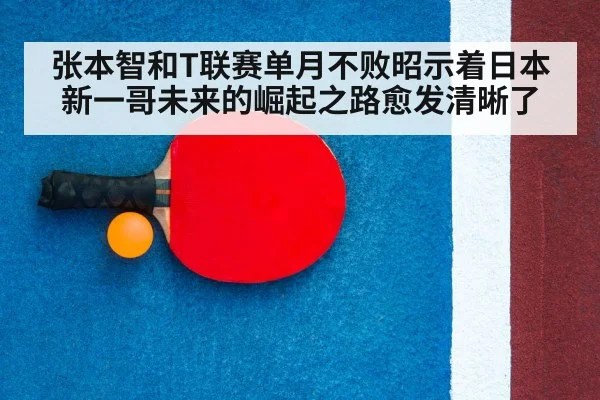 table tennis racket